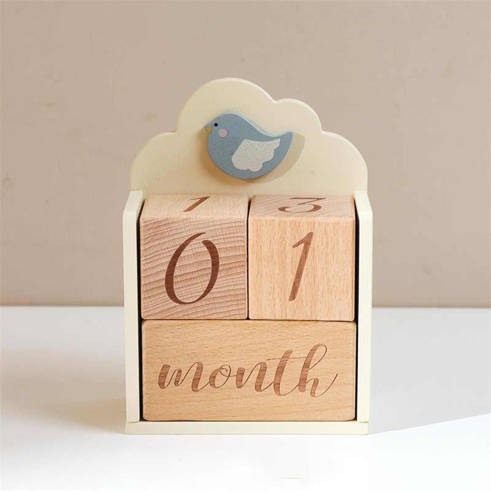 Wooden Baby Milestone Age Bloc - Baby Nursery Age 리뷰 및 가격