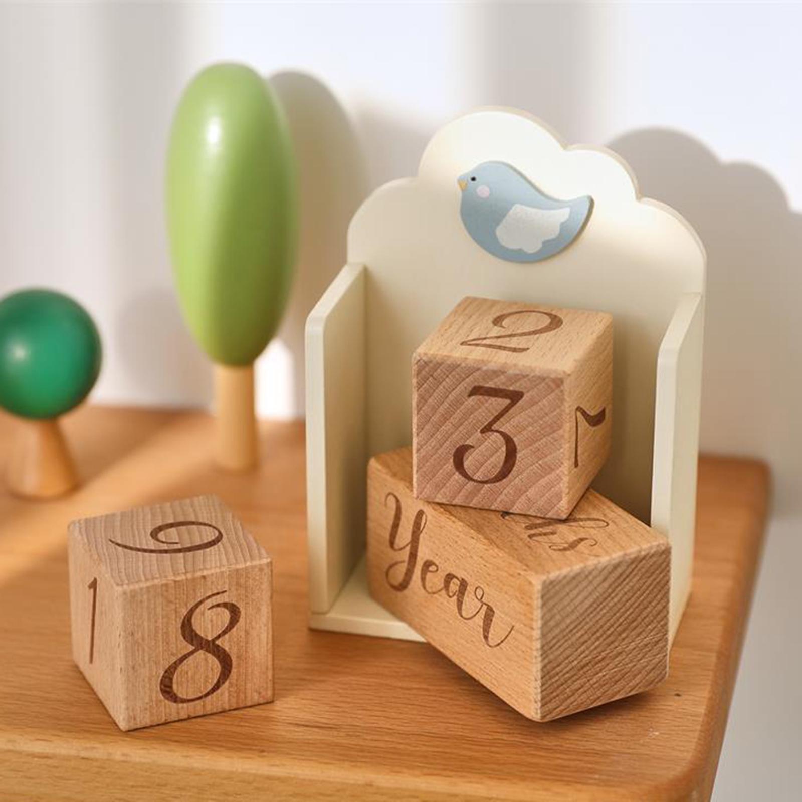 Wooden Baby Age Blocks Unique  - Baby Nursery Age 리뷰 및 가격