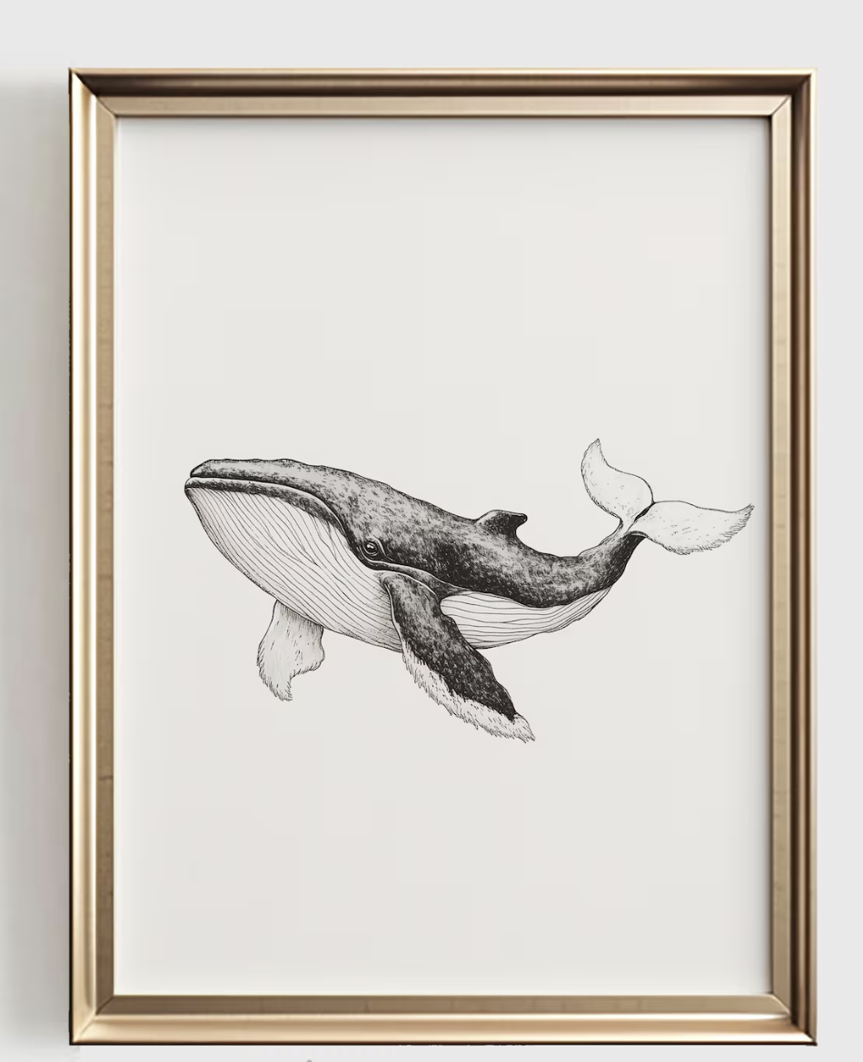 Whale Line Art Print, Minimali - Baby Nursery Ocean 리뷰 및 가격